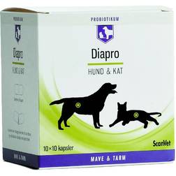 Diapro Hund & Kat 10x10 kapsler