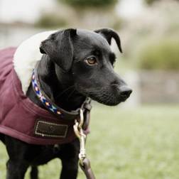 Kentucky Dog Coat Original Bordeaux