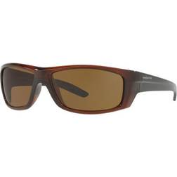 Sunglass Hut Hut HU2007 Brown/Brown Large