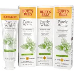 Burt's Bees Bees Toothpaste, Natural Flavor, Fluoride Free Purely