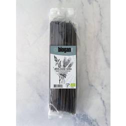 Biogan SOBA NUDLER 250g ØKO