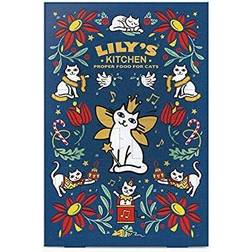 Lily's kitchen Cat Christmas Advent Calendar 42g