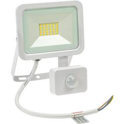 Spectrum Floodl Noctis Lux2
