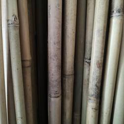 5 stk. Bambuspinde 90 Krukke