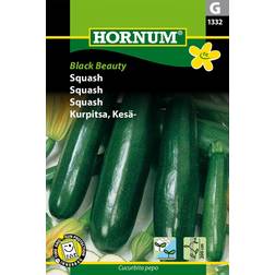 Hornum Squash Frø, Black Beauty