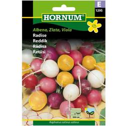 Hornum Radise Frø, Hvid, Gul Violet Blanding Blomsterfrø