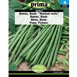 Prima Bønne, Busk- "Haricot verts" Delinel Græsfrø