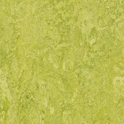 Forbo Linoleumgolv Marmoleum Real 2mm 3224 Chartreuse 33mx200cm