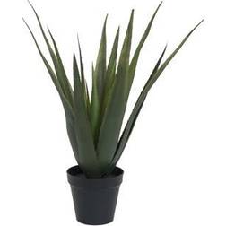 Europalms Aloe vera plant, artificial plant, 60cm, Aloe vera Künstliche Pflanzen