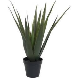 Europalms Aloe vera plant, artificial plant, 60cm, Aloe vera Kunstig plante