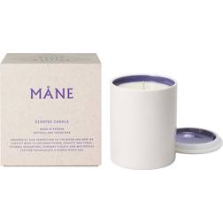 Björk & Berries and Måne Scented Candle Doftljus