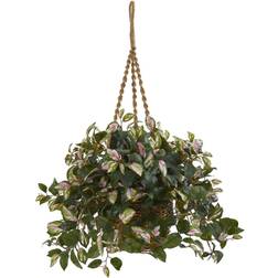 Nearly Natural Hoya Artificial Plant Hanging Basket Artificial Plant