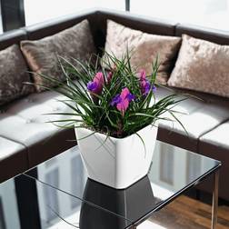 Lechuza Quadro Premium 16120 Istutin Valkoinen