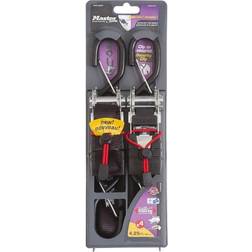 Master Lock 3066EURDAT Nero Cinghia Di Fissaggio Con Moschettone Nero 4.25 m x 25 mm