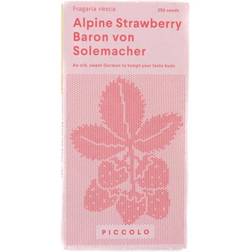 Piccolo Seeds Alpine Strawberry