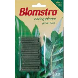 Blomstra Näringspinnar Gröna Växter