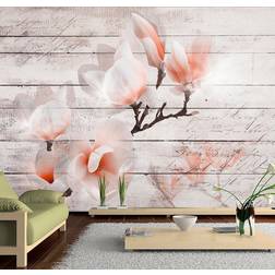 Artgeist Fototapet Subtlety of the Magnolia 350x245