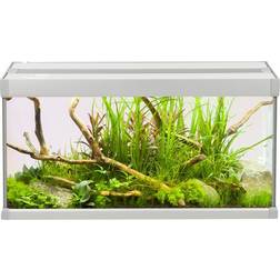 AKVASTABIL Family Akvarium 60x30x32 Cm, l.