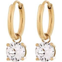 Edblad Leonore Hoops - Gold/Transparent