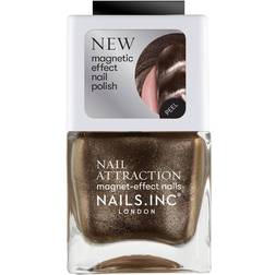 Attract What You Want Magnet Effect Nail Polish