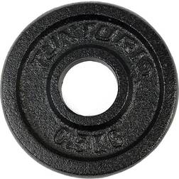 Tunturi Viktskiva Gjutjärn 0,5 Kg 30 mm