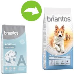 briantos Adult Light - Ekonomipack: 2 14