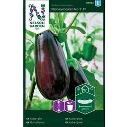 Nelson Garden Aubergine 'Moneymaker No.2' F1