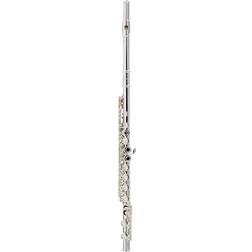 Allora AFL-250 Student Series Flute Offset G C-Foot