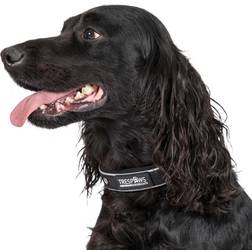 Trespass Keira Hundehalsbånd M