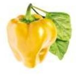 Click and Grow Smart Garden Refill 3-pack Krukke