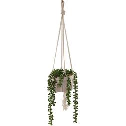 Flora Bunda CS1858E 9.25 String of Pearls Macrame Hanging Ceramic Donkey Tails Planter