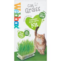 Webbox Cat Grass Kit 120g