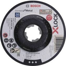 Bosch Accessories 2608619365 1 stk