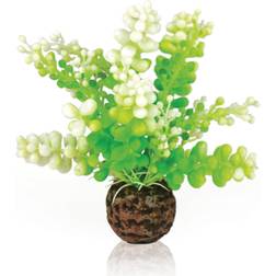 Biorb Caulerpa Green Aquarium Decoration