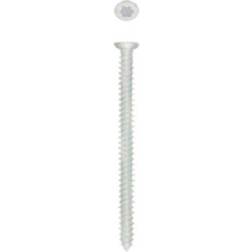 Rawlplug Frame Screw Csk Zinc