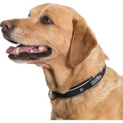 Trespass Soft Touch Dog Collar Keira