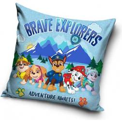 Paw Patrol Brave explorers