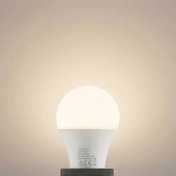 LED-lampa E27 A60 10 W 3 000 K opal