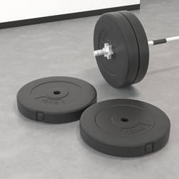 vidaXL Weight Plates 2 pcs 30 kg Cement