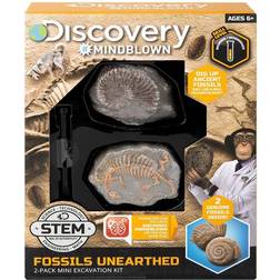 Toy Excavation Kit Mini Fossil 2 Piece