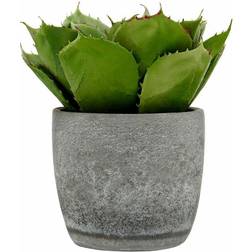 Premier Housewares Fiori Large Succulent with Cement