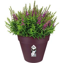 Elho Flowerpot Loft Urban Overflow Pipes Plant