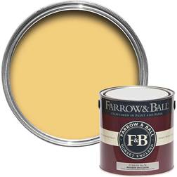 Farrow & Ball Modern Citron No.74 Emulsion Wall Paint 2.5L