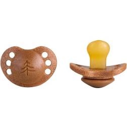 Napp Beech, 2-pack, Anatomisk 6 månader