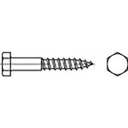 Toolcraft TO-6855600 Hexagon träskruv Utvändig hexagon DIN 571 Galvaniserat