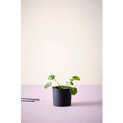 Jotex GUNNEBO kruka ∅14cm