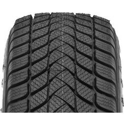 Landsail Winter 205/55R16 91H Dubbfritt