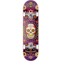 Hydroponic Mexican Complete Skateboard Black Skull 8.125"