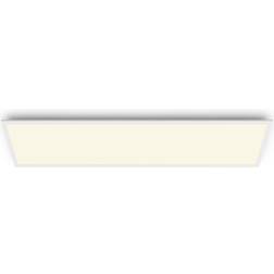 Philips Panel Ceiling Flush Light 120cm