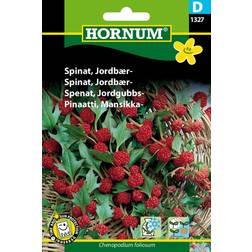 Hornum Spinat, Jordbær- D 1327 Grøntsagsfrø